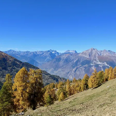 Near The Village Centre * Nendaz