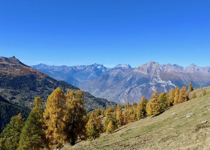 Near The Village Centre * Nendaz