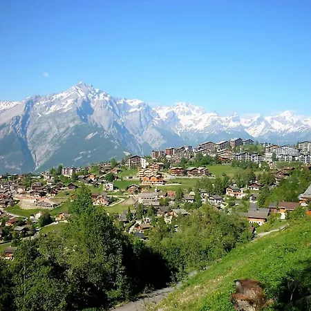 Near The Village Centre